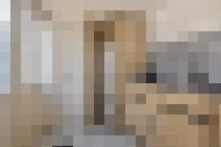 De Linnenbleker 72 Boxtel thumbnail 27