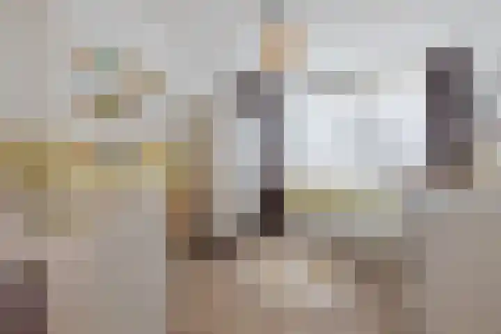 De Linnenbleker 72 Boxtel thumbnail 31