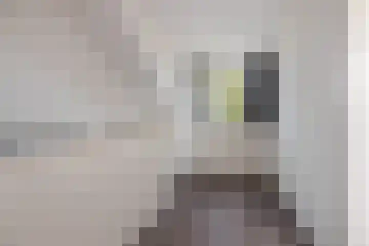 De Linnenbleker 72 Boxtel thumbnail 37