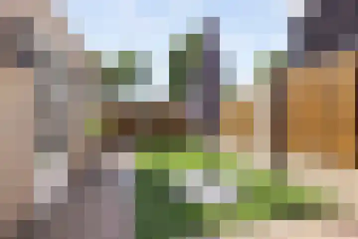 De Linnenbleker 72 Boxtel thumbnail 41