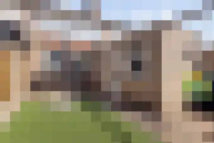 De Linnenbleker 72 Boxtel thumbnail 43
