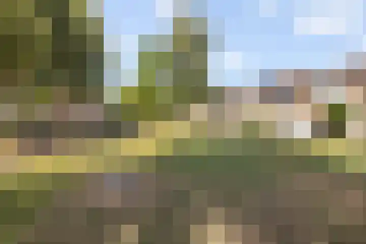De Linnenbleker 72 Boxtel thumbnail 46
