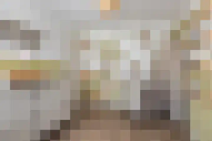 De Linnenbleker 72 Boxtel thumbnail 5