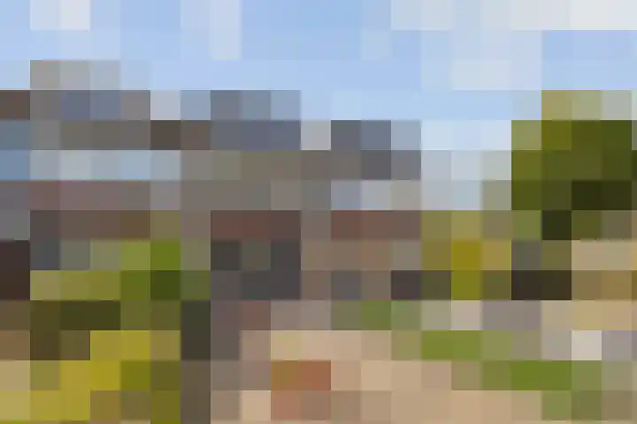 De Linnenbleker 72 Boxtel thumbnail 51