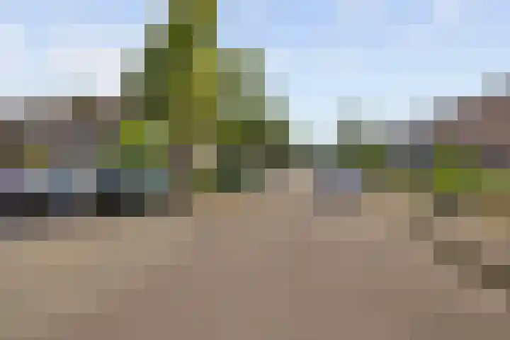 De Linnenbleker 72 Boxtel thumbnail 9