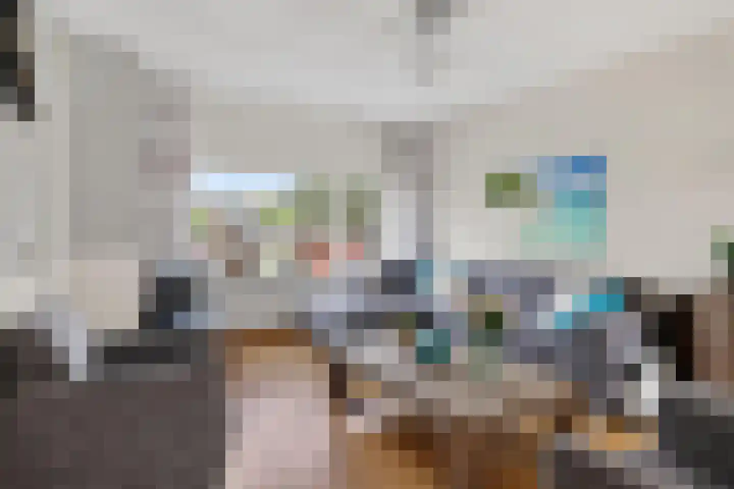 De Lint 102 Zevenbergen thumbnail 10