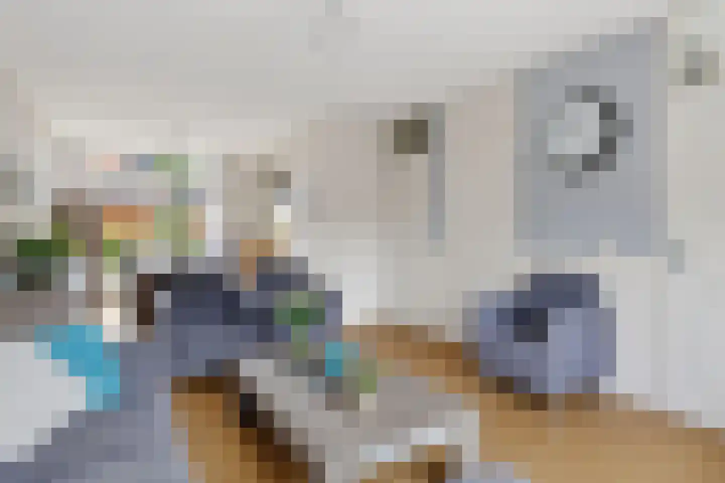 De Lint 102 Zevenbergen thumbnail 12