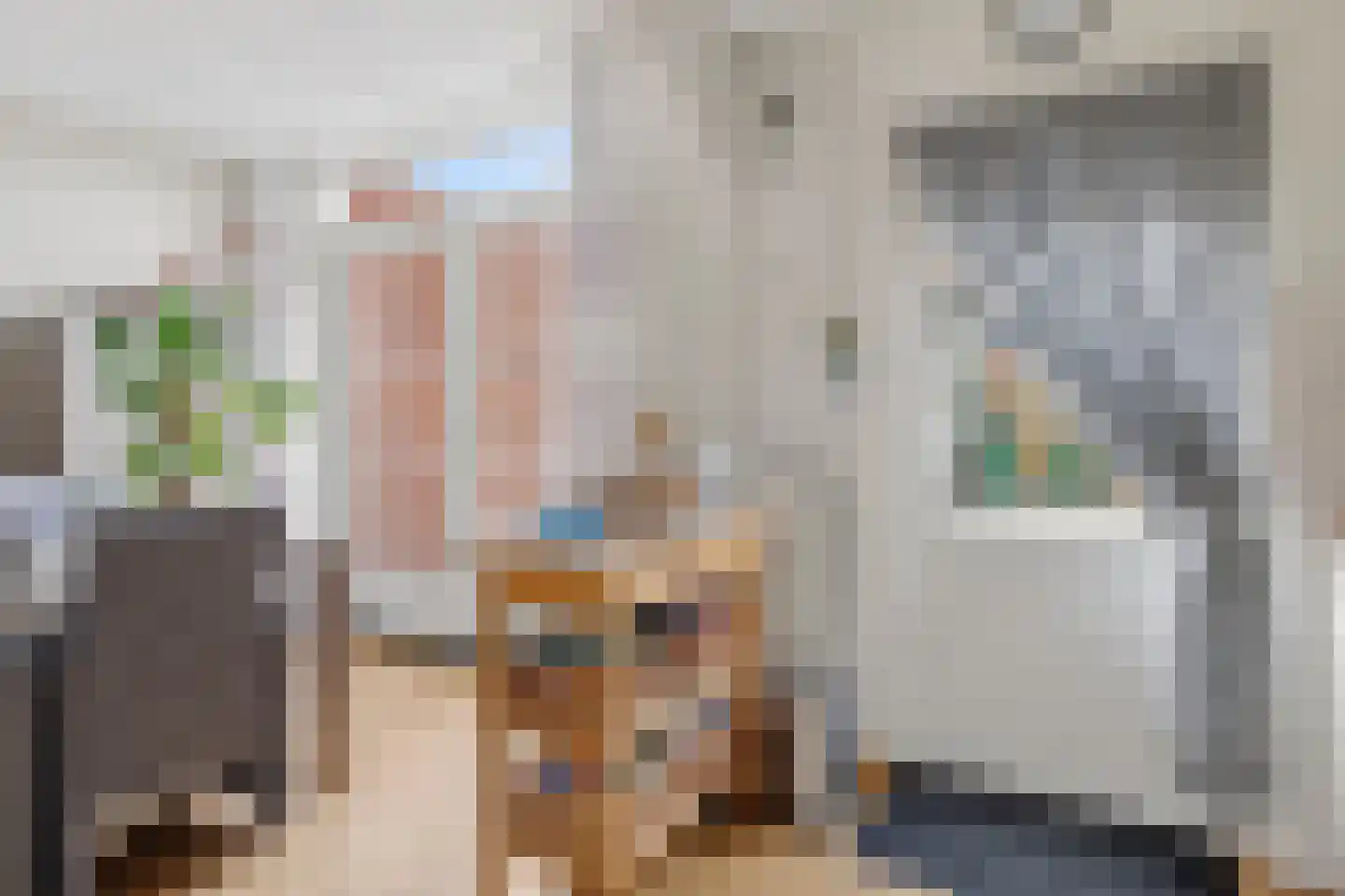 De Lint 102 Zevenbergen thumbnail 15