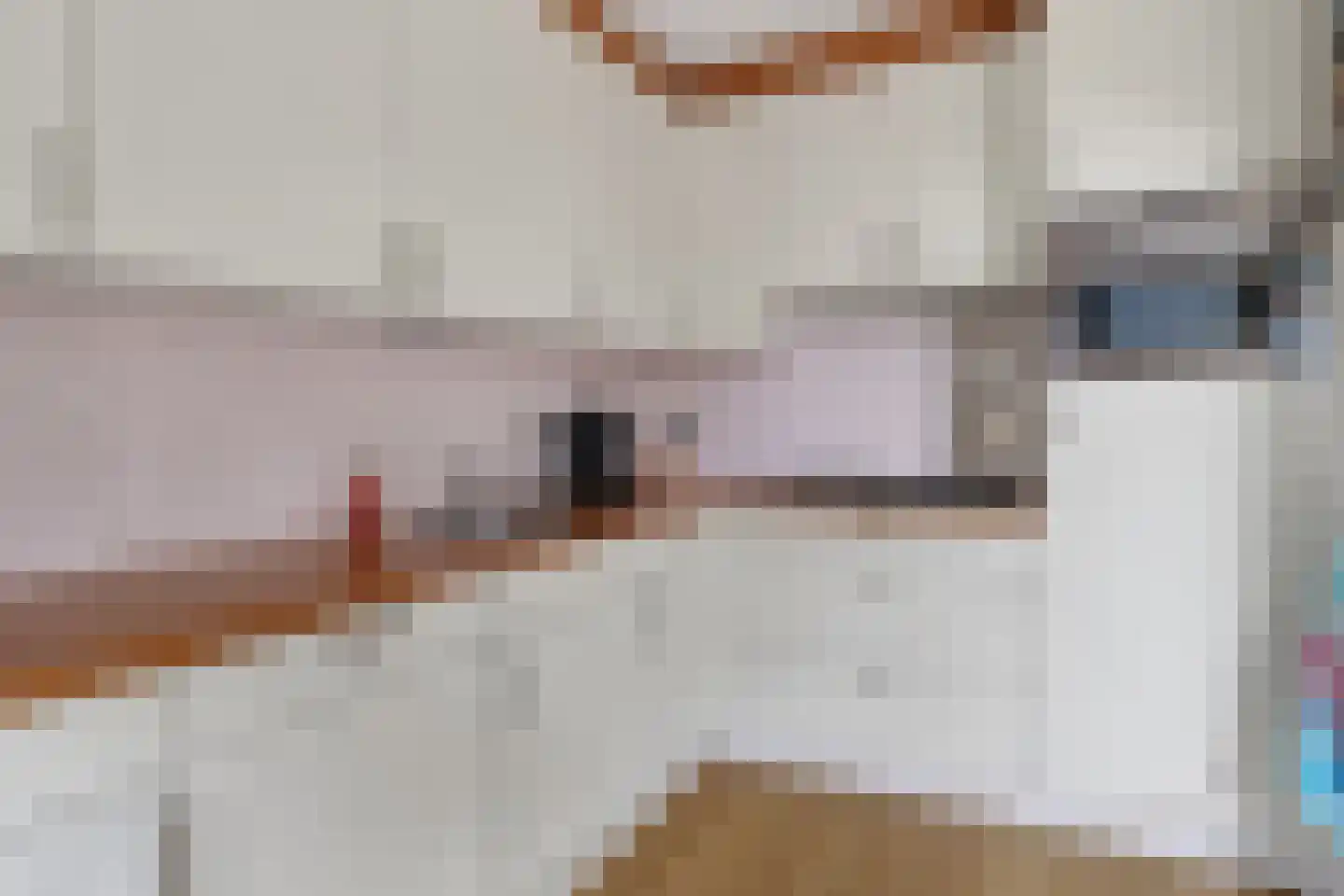 De Lint 102 Zevenbergen thumbnail 16