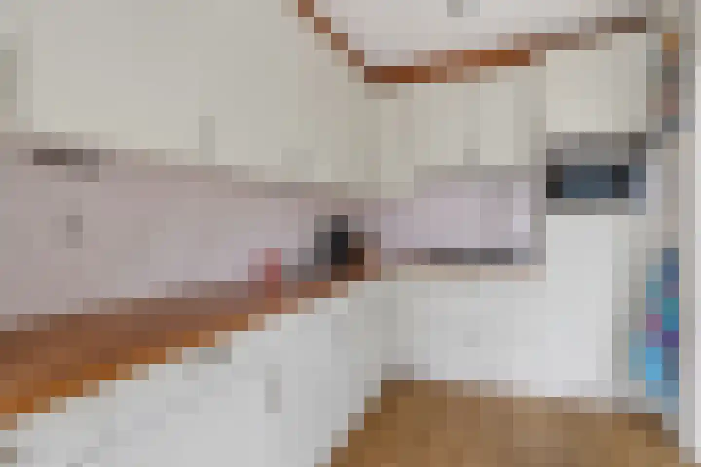 De Lint 102 Zevenbergen thumbnail 18