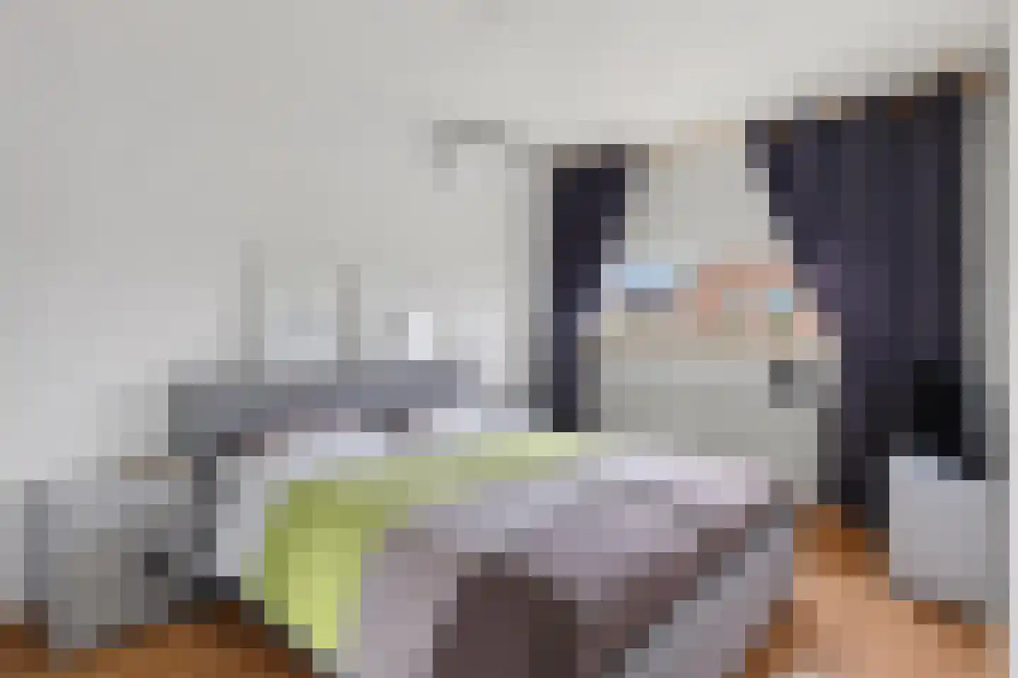 De Lint 102 Zevenbergen thumbnail 19