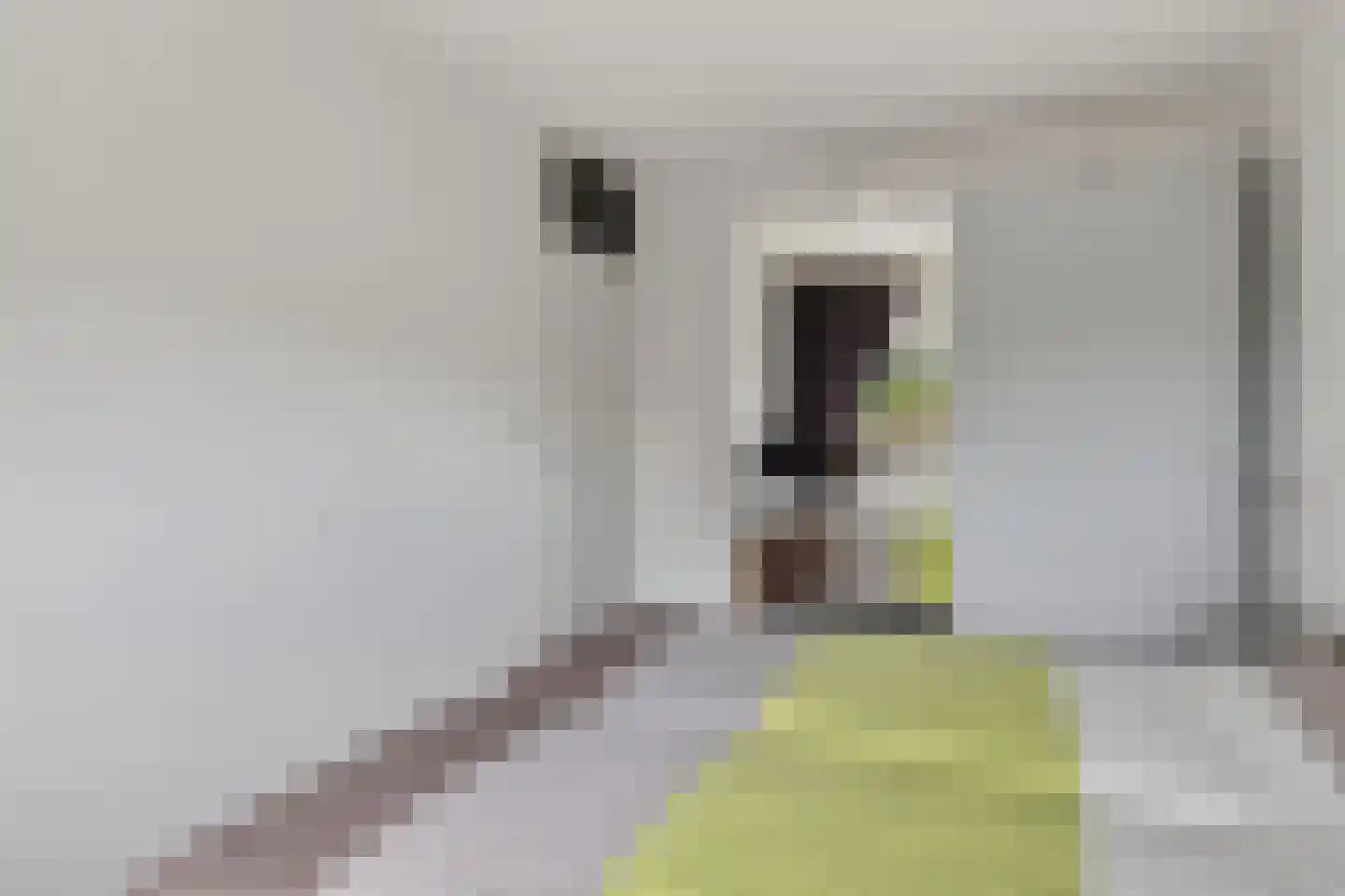 De Lint 102 Zevenbergen thumbnail 20