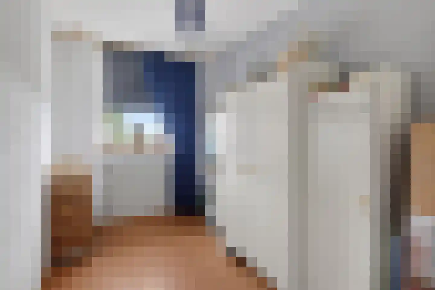 De Lint 102 Zevenbergen thumbnail 22