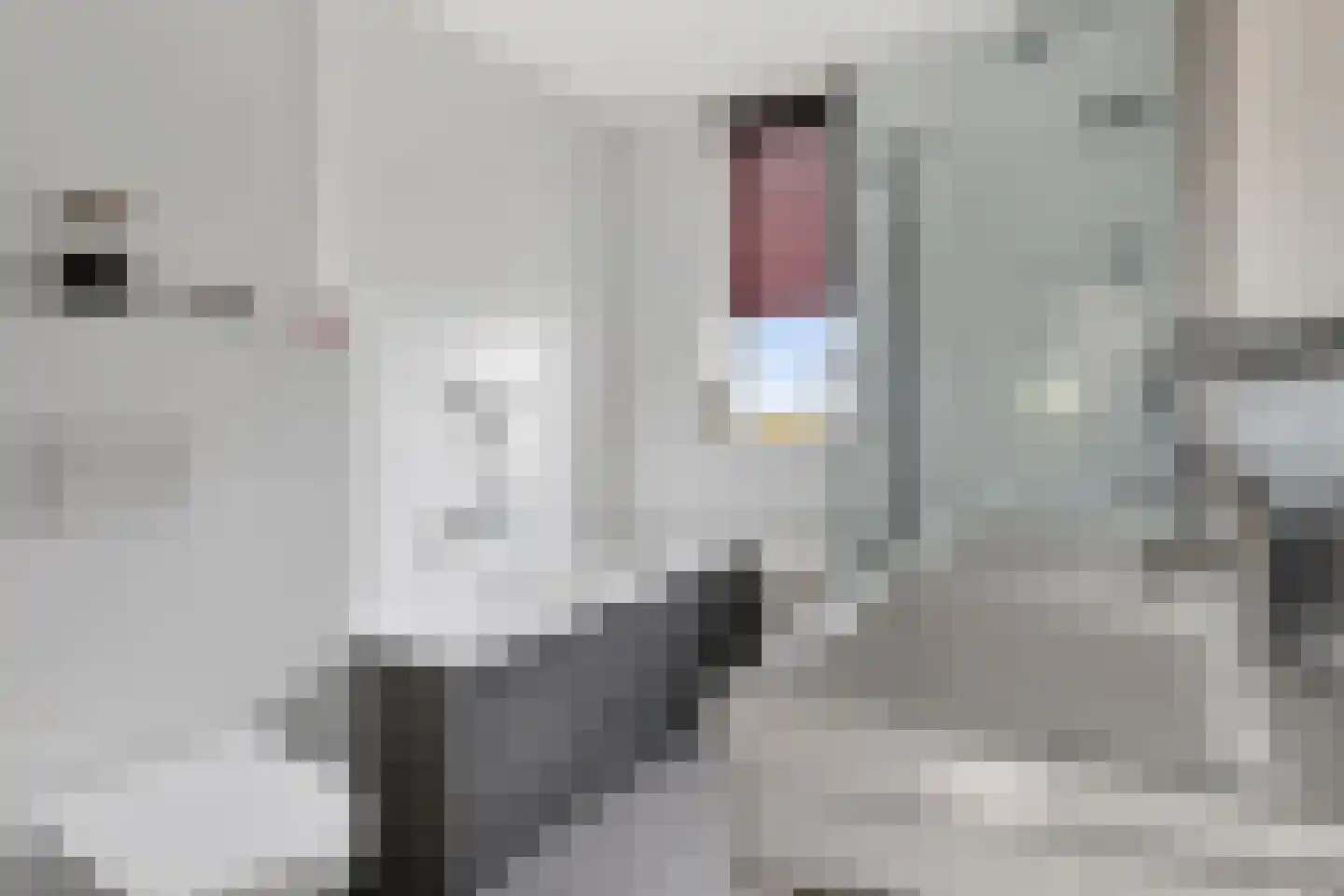De Lint 102 Zevenbergen thumbnail 23