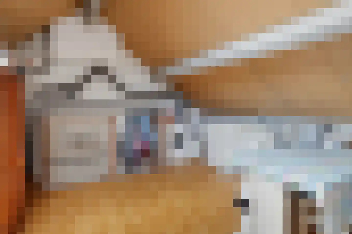 De Lint 102 Zevenbergen thumbnail 26