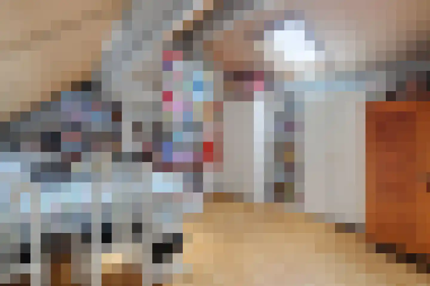 De Lint 102 Zevenbergen thumbnail 27
