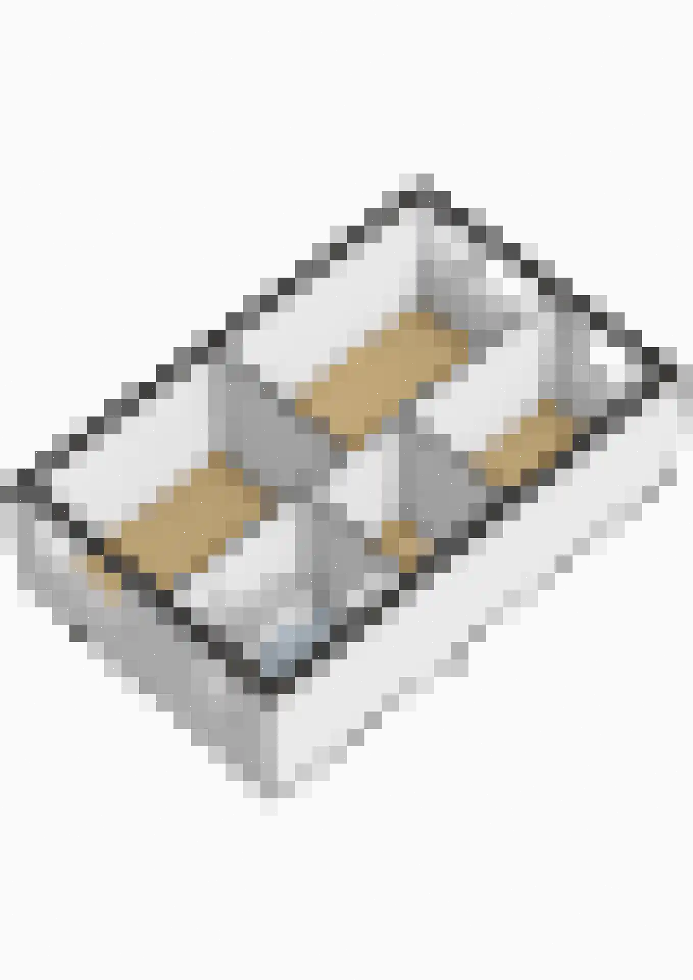 De Lint 102 Zevenbergen thumbnail 37