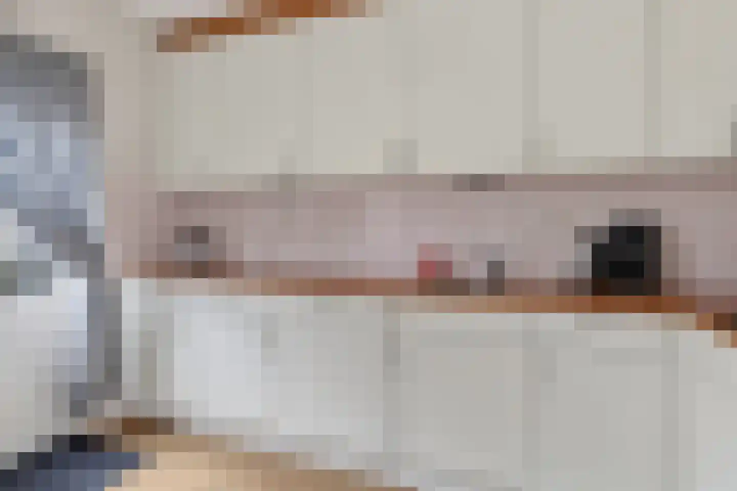 De Lint 102 Zevenbergen thumbnail 4