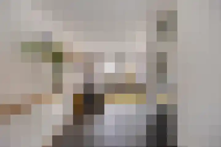 De Lint 109 Zevenbergen thumbnail 10