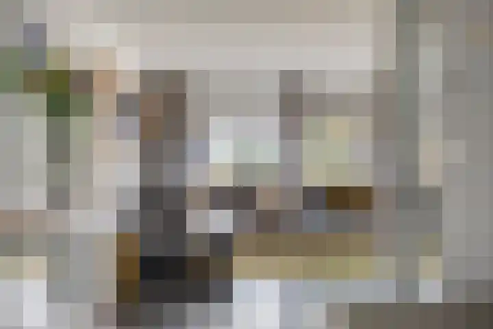 De Lint 109 Zevenbergen thumbnail 11
