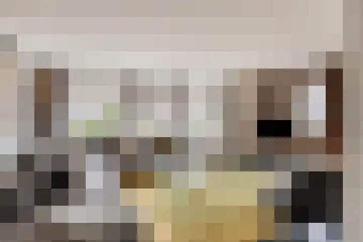 De Lint 109 Zevenbergen thumbnail 12