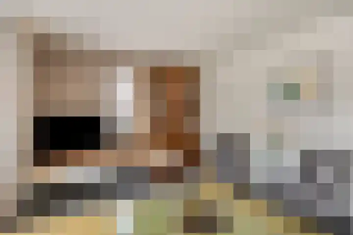 De Lint 109 Zevenbergen thumbnail 13