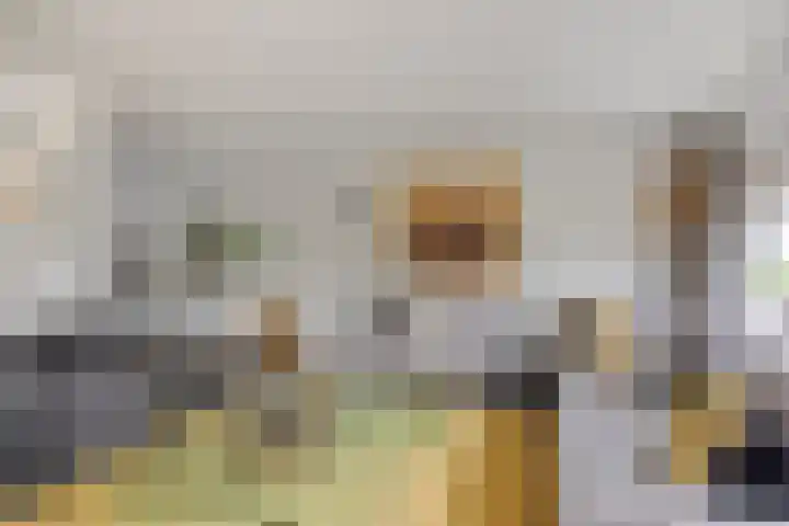 De Lint 109 Zevenbergen thumbnail 14