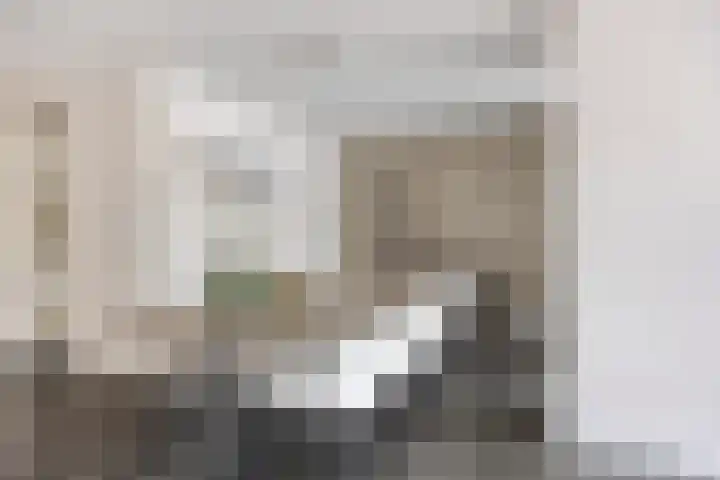 De Lint 109 Zevenbergen thumbnail 17