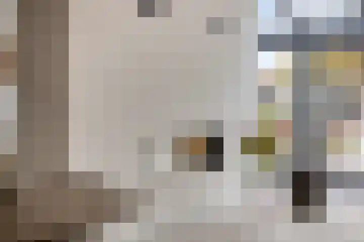De Lint 109 Zevenbergen thumbnail 19