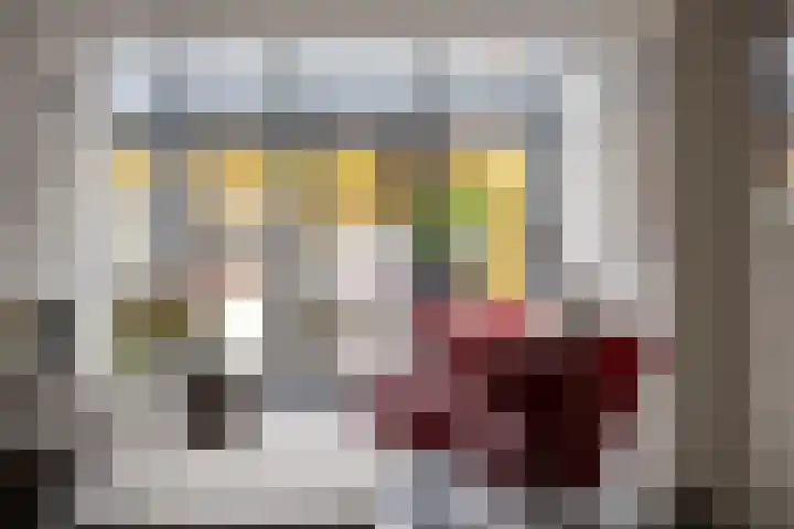 De Lint 109 Zevenbergen thumbnail 20