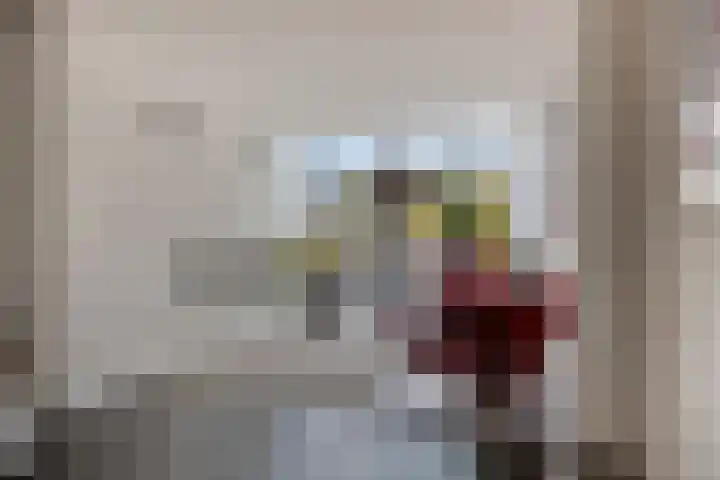 De Lint 109 Zevenbergen thumbnail 21