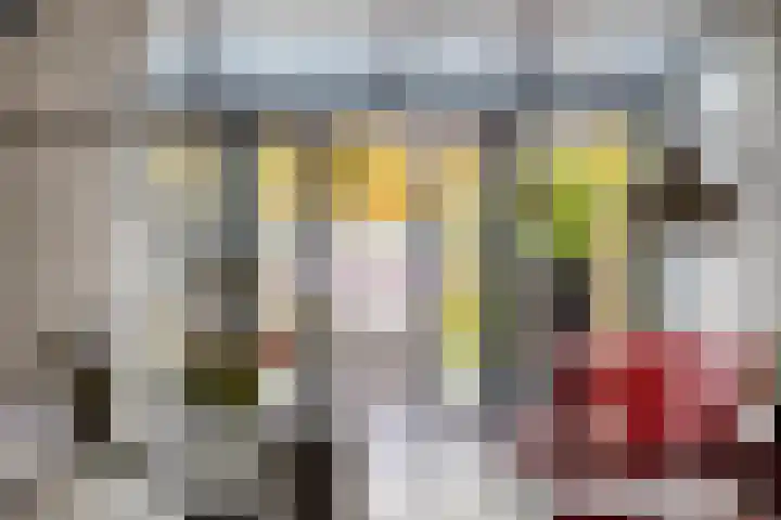 De Lint 109 Zevenbergen thumbnail 22