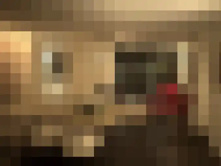 De Lint 109 Zevenbergen thumbnail 23