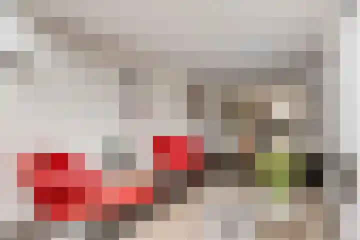 De Lint 109 Zevenbergen thumbnail 24