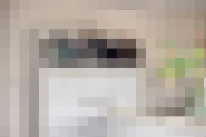 De Lint 109 Zevenbergen thumbnail 26