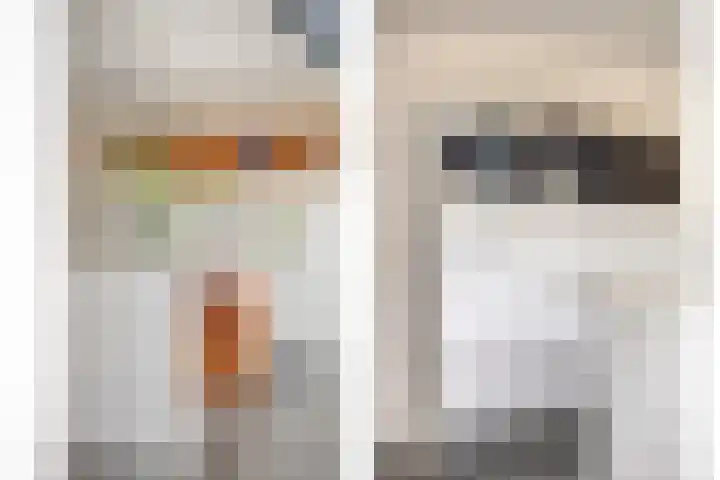 De Lint 109 Zevenbergen thumbnail 27