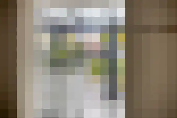 De Lint 109 Zevenbergen thumbnail 28