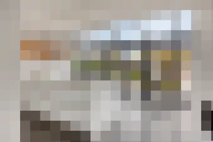 De Lint 109 Zevenbergen thumbnail 29