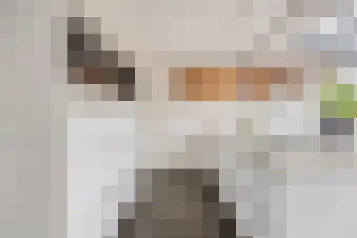 De Lint 109 Zevenbergen thumbnail 30