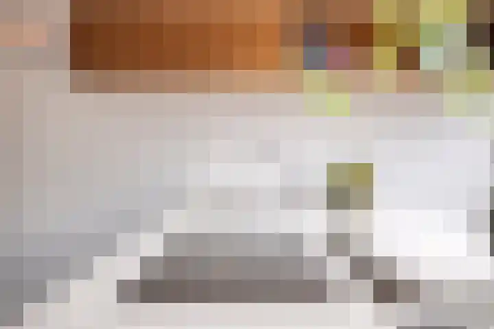 De Lint 109 Zevenbergen thumbnail 31