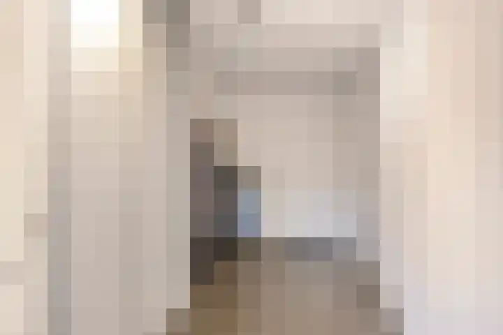 De Lint 109 Zevenbergen thumbnail 32