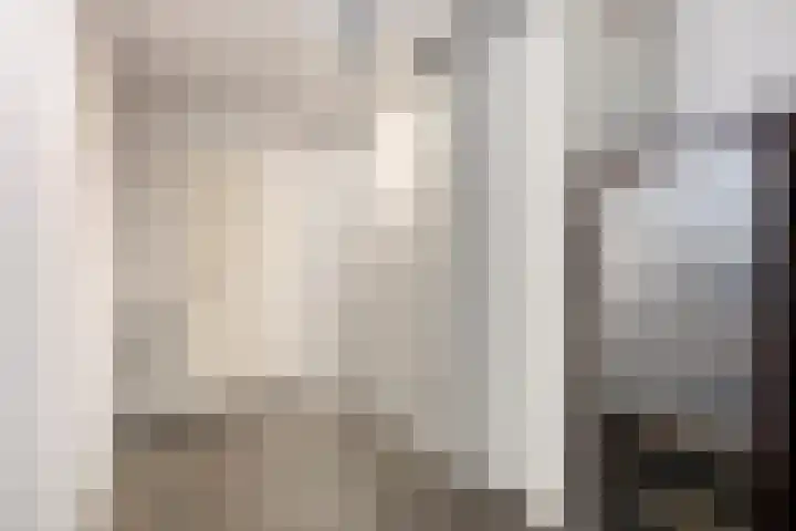 De Lint 109 Zevenbergen thumbnail 33