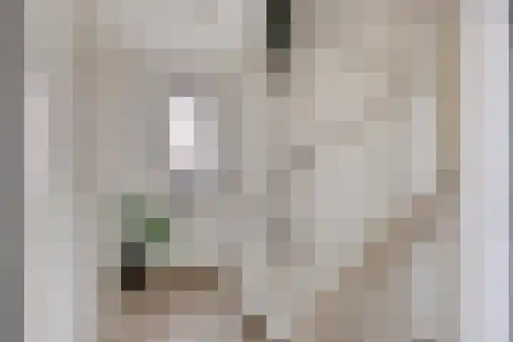 De Lint 109 Zevenbergen thumbnail 34