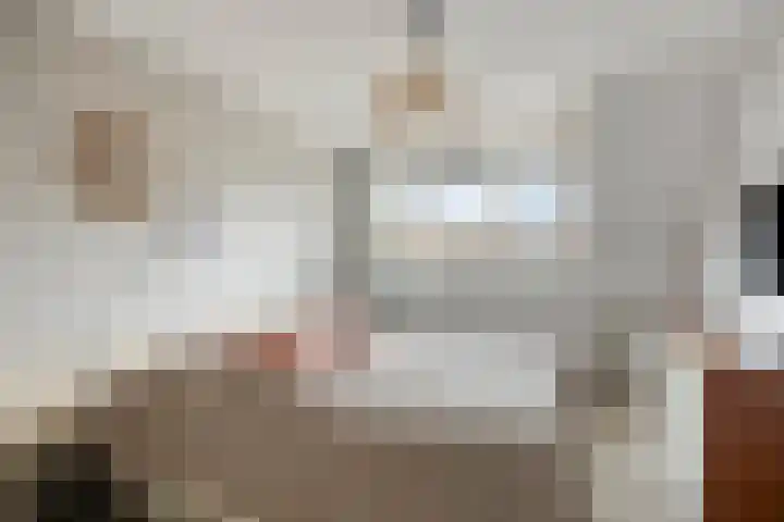 De Lint 109 Zevenbergen thumbnail 35