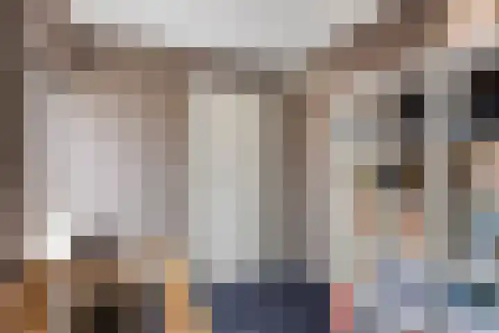 De Lint 109 Zevenbergen thumbnail 38