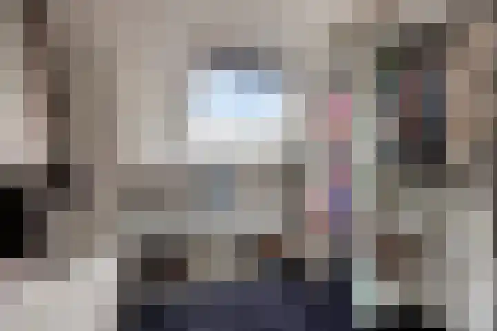 De Lint 109 Zevenbergen thumbnail 39