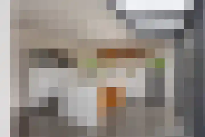 De Lint 109 Zevenbergen thumbnail 4