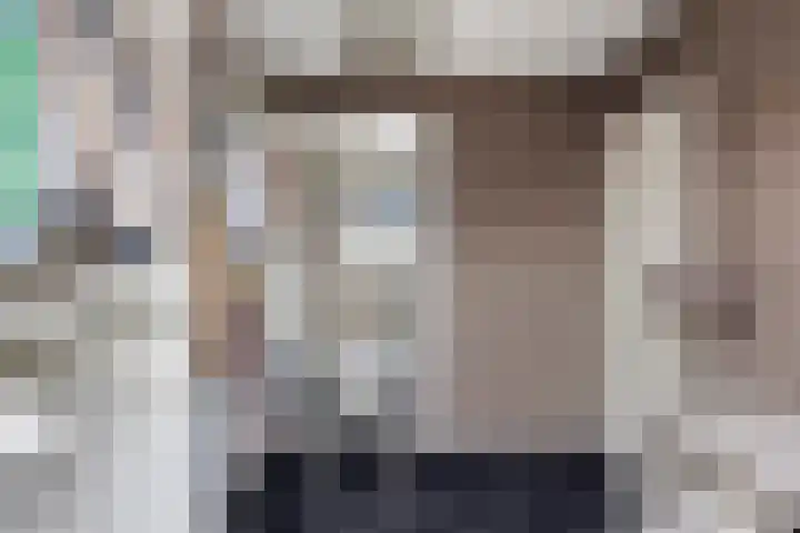 De Lint 109 Zevenbergen thumbnail 40