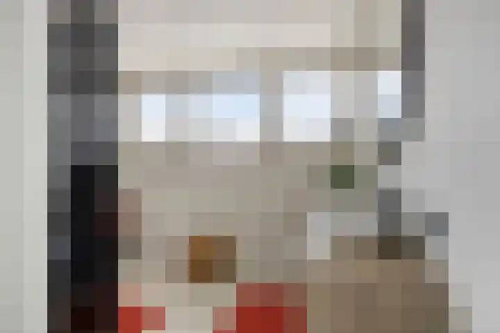 De Lint 109 Zevenbergen thumbnail 41