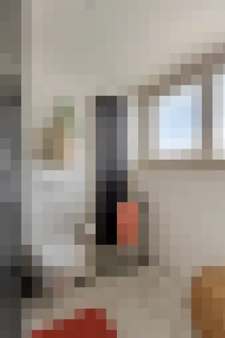 De Lint 109 Zevenbergen thumbnail 43